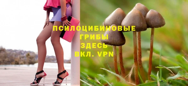 apvp Аркадак